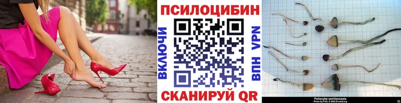Галлюциногенные грибы GOLDEN TEACHER  МЕГА   Бронницы 